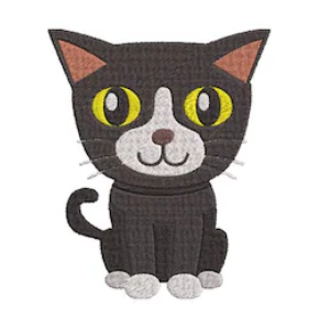 #0544 - Black & White Cat