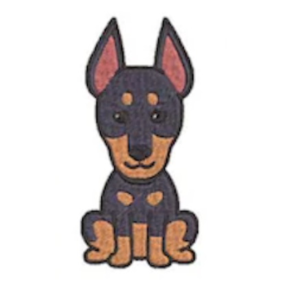 #0529 - Doberman Pinscher